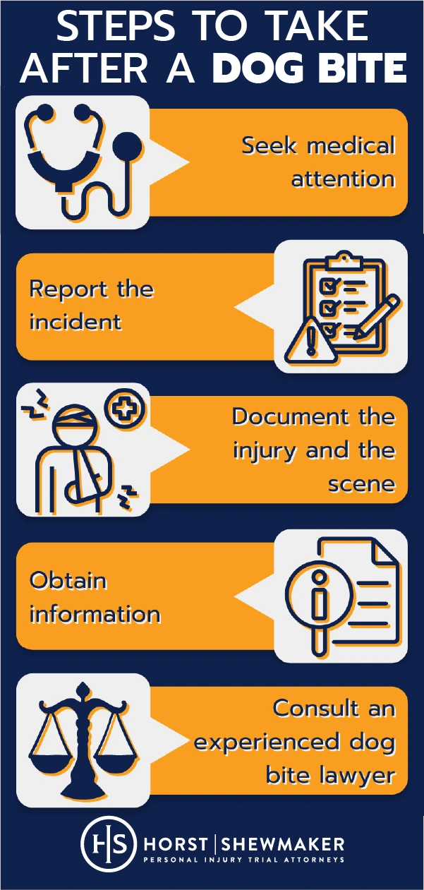 Steps to take after a dog bite in alpharetta